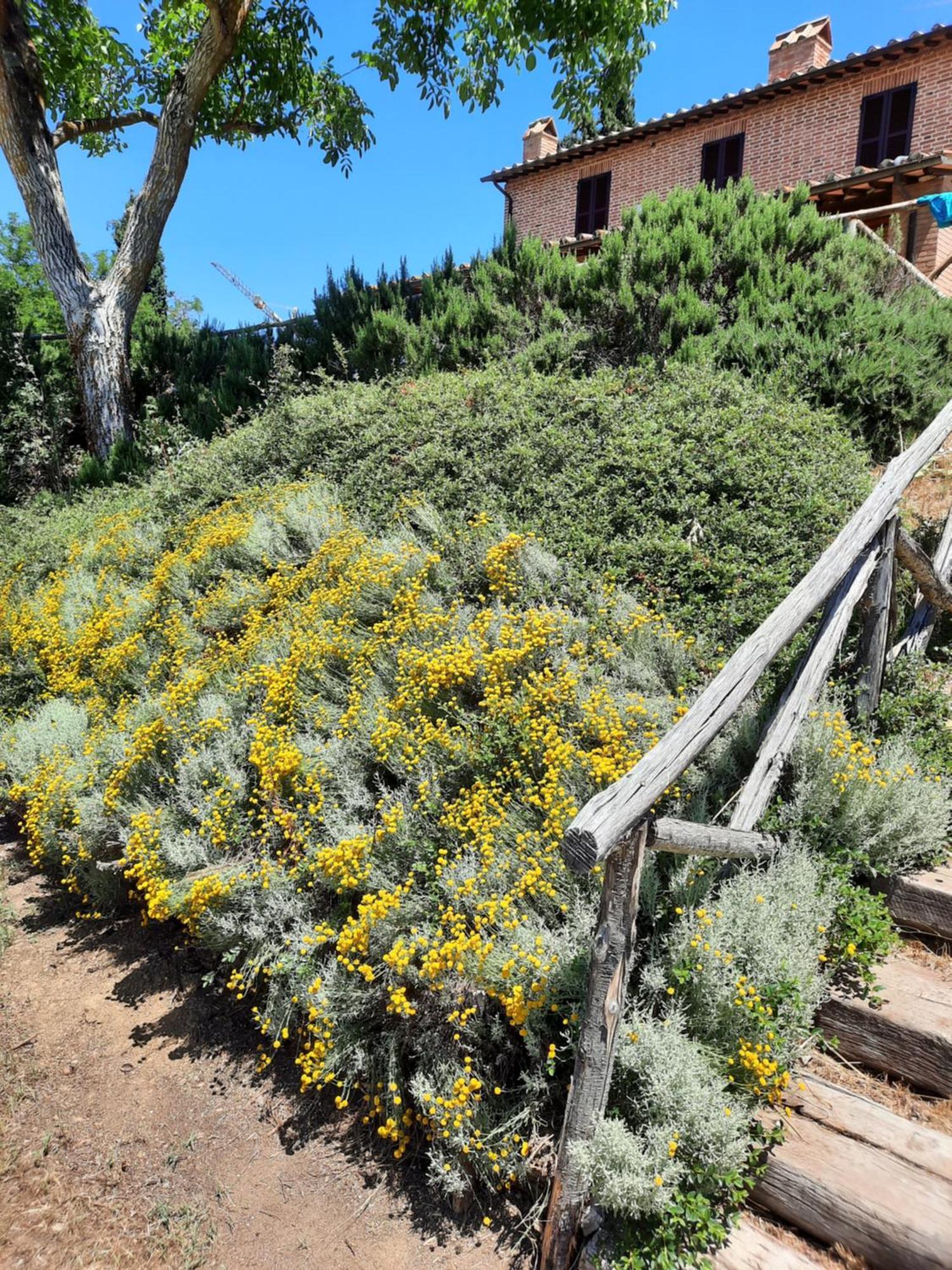 Agriturismo Podere Valdilucciole Città della Pieve Kültér fotó